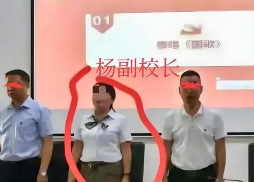 深圳杨某爆料最新新闻事件,最新事件引发社会关注