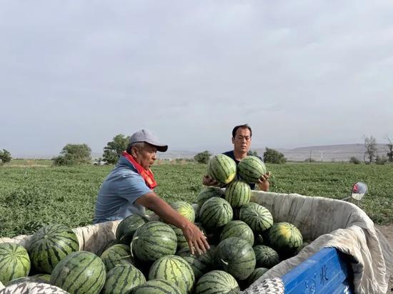 天天吃瓜 网红骨科,揭秘“天天吃瓜”背后的医疗奇迹